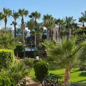 https://discover-perfect-beach-apartment-only-300m-away.es-andalucia.com